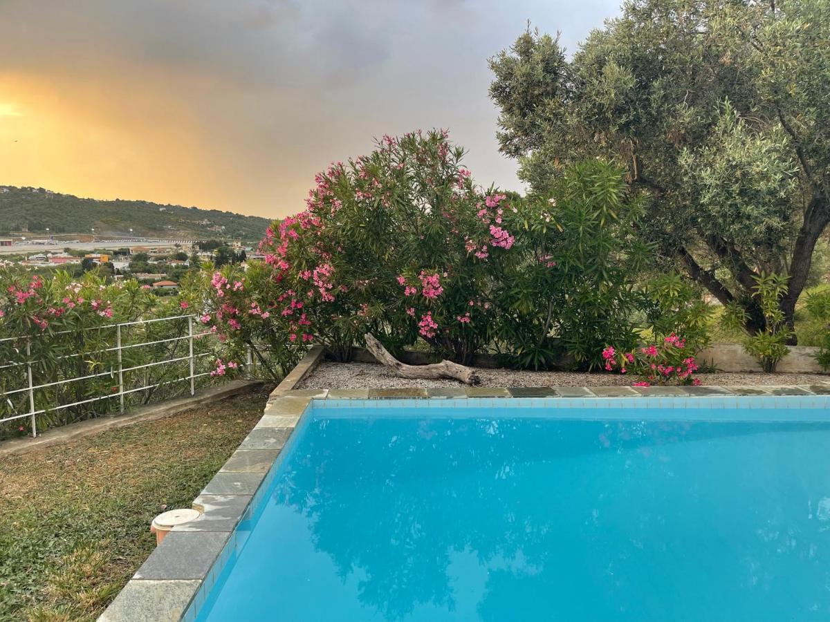 Skiathos Seaview Villa With Pool Punta Exterior photo